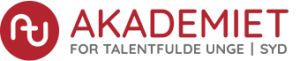 Akademiet for Talentfulde Unge Syd